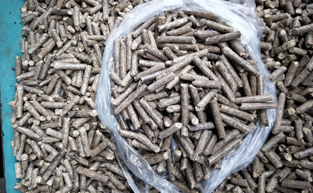 沙柳生物质颗粒燃料