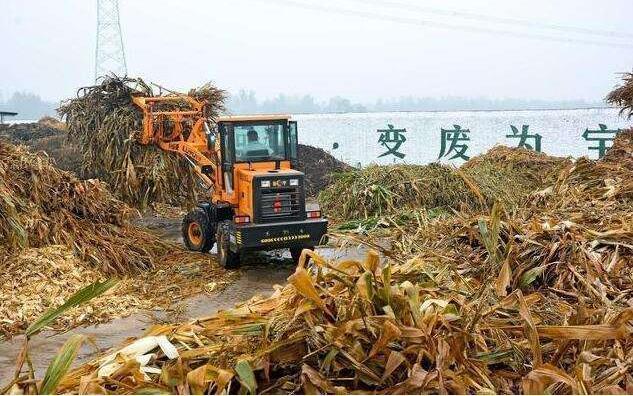 黑土地上的‘秸秆经纪人’要让秸秆牛起来，变成‘宝’