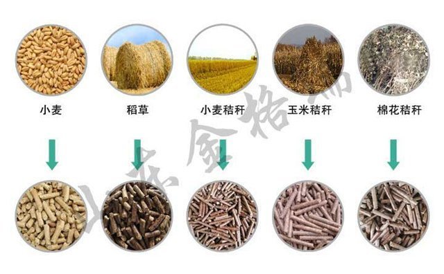 小麦秸秆颗粒机可以处理这些秸秆
