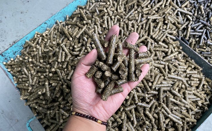 宜君县玉米秸秆颗粒燃料