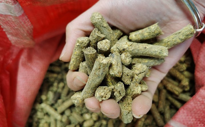 秸秆制粒机协助秸秆成为可再生资源