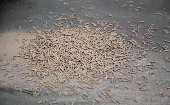 秸秆制粒机加工的生物质燃料颗粒