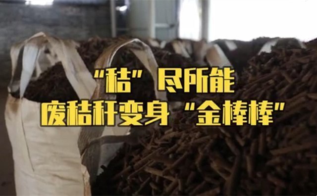 秸秆制粒机制粒处理