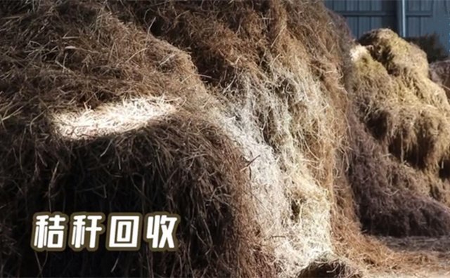 秸秆回收