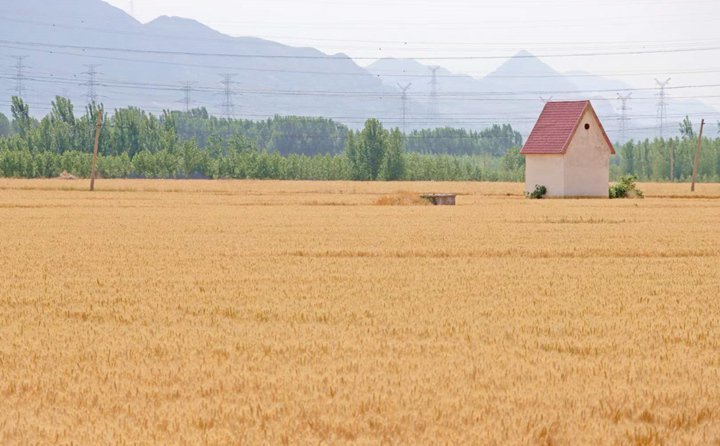 秸秆变废为宝