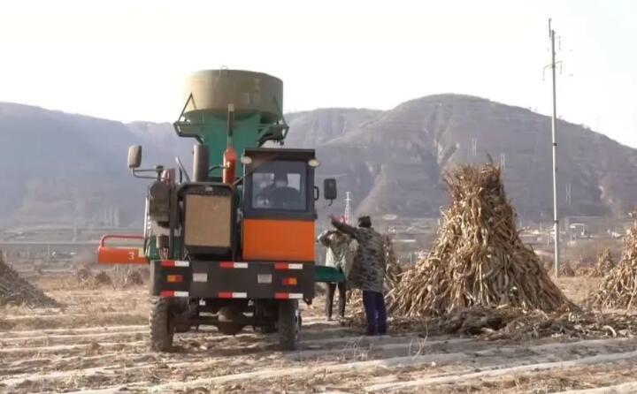 近日，走进曲子镇孟家寨村，工人们正驾驶农机将秸秆打包回收，袁岁宝跟在机器后面细细数着自家玉米地刚刚打包完成的草包。