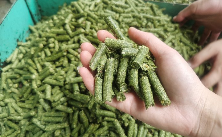 秸秆颗粒机加工的秸秆饲料颗粒